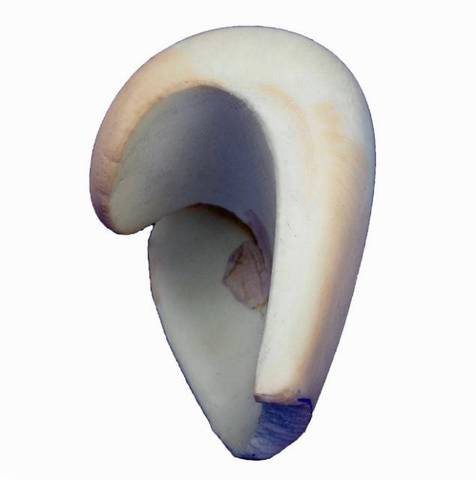 BOXING GLOVE MOULD GUIDE