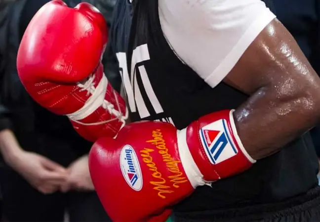 BOXING GLOVE GUIDE
