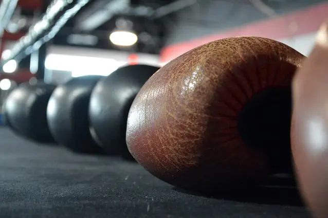Genuine Leather Vs. Manufactured Leather for Boxing and MMA Gloves